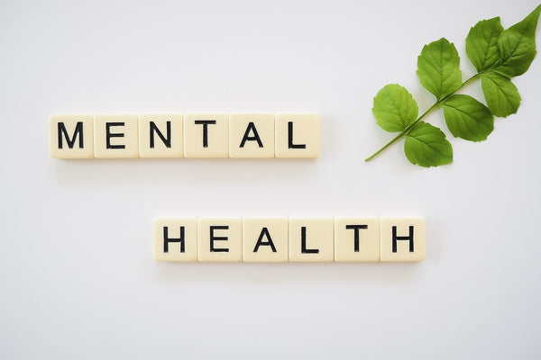 Nutritional Support for Mental Health: How Supplements Can Help